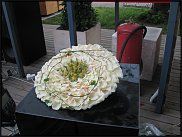 www.floristic.ru - .     