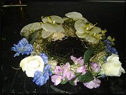 www.floristic.ru - .  