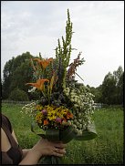 www.floristic.ru - .    -  2012