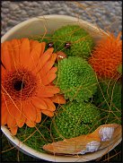 www.floristic.ru - .       ...