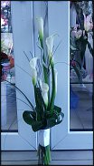 www.floristic.ru - .       ...