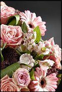 www.floristic.ru - .    -  2012