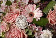 www.floristic.ru - .    -  2012