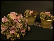 www.floristic.ru - .  .