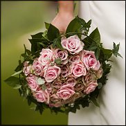 www.floristic.ru - .    