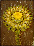 www.floristic.ru - Флористика. Китай и его флористические традиции.