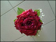 www.floristic.ru - . 