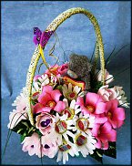 www.floristic.ru - .     -,  ..