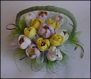 www.floristic.ru - .     -,  ..