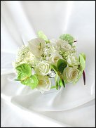 www.floristic.ru - .   