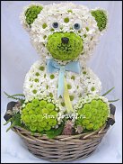 www.floristic.ru - .   ....