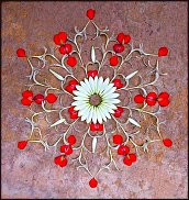 www.floristic.ru - .   