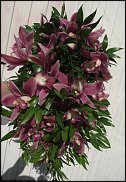 www.floristic.ru - .  .