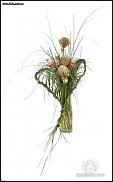 www.floristic.ru - .      