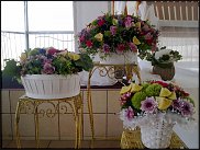 www.floristic.ru - .  .