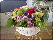 www.floristic.ru - .  .