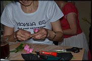 www.floristic.ru - .  ˨   .