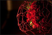 www.floristic.ru - .  .