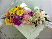 www.floristic.ru - .    !!!