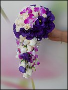 www.floristic.ru - .  