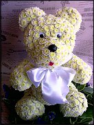 www.floristic.ru - .   ....