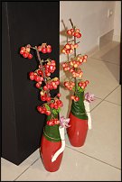 www.floristic.ru - .      ()
