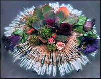 www.floristic.ru - .  