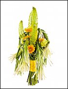 www.floristic.ru - .    -  2012