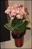 www.floristic.ru - .      ()