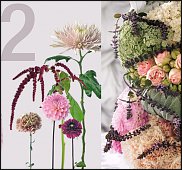 www.floristic.ru - .  .