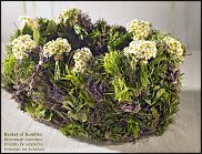 www.floristic.ru - .  .