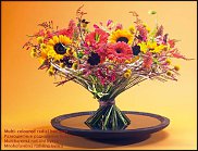 www.floristic.ru - .  .