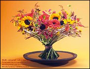 www.floristic.ru - .  .