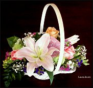 www.floristic.ru - . ,  .