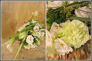 www.floristic.ru - .  .