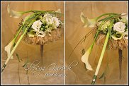 www.floristic.ru - .  .