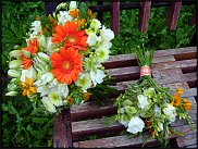 www.floristic.ru - .  .