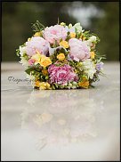 www.floristic.ru - .   "-" (- 2012.)