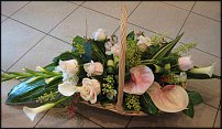 www.floristic.ru - . ,  .