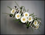 www.floristic.ru - .    -  2012