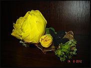 www.floristic.ru - .      