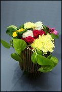 www.floristic.ru - .   