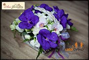 www.floristic.ru - .  .