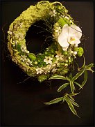 www.floristic.ru - .  ....   .