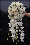 www.floristic.ru - .  .