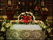 www.floristic.ru - .  