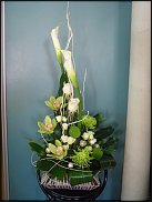 www.floristic.ru - . ,  .