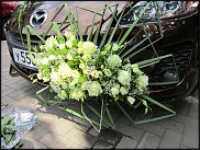 www.floristic.ru - .  