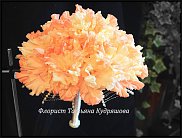 www.floristic.ru - . 