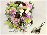 www.floristic.ru - .  .